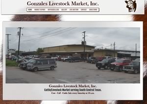 Website designer for GonzalesLivestock.com 