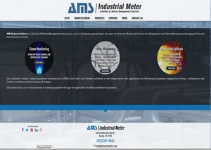 Website designer for IndustrialMeter.com 